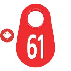 Étiquette d'identification pour le cou #61