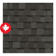 Cambridge, Asphalt Shingle