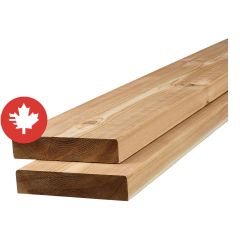 Cèdre rouge de l'Ouest