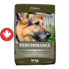 Nourriture 100 % complète et équilibrée pour chiens adultes, PERFORMANCE, 16 kg