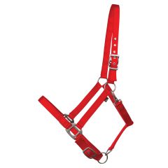 Poney Halter - Red
