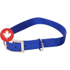 Collier à chien simple, rouge, 1" x 24"