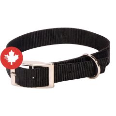 Collier à chien simple, noir, 1" x 20"