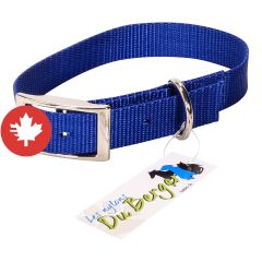 Collier à chien simple, bleu, 1" x 20"