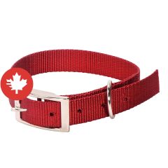 Collier à chien simple, rouge, 1" x 20"