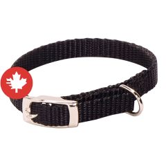 Collier à chien simple, noir, 3/8" x 10"