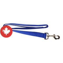 Laisse simple, bleu, 1" x 48"