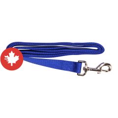 Laisse simple, bleu, 1" x 72"