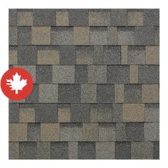 Dynasty, Asphalt Shingle, Biscayne