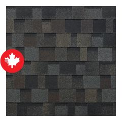 Dynasty, Asphalt Shingle, Glacier