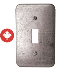 Plaque d'interrupteur en métal