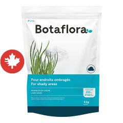 Semences de gazon mélange ombre, 4 kg