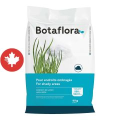Semences de gazon mélange ombre, 10 kg