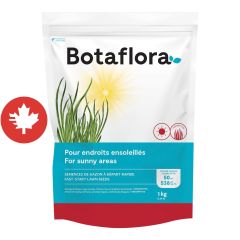 Semences de gazon à départ rapide