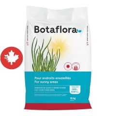 Semences de gazon à départ rapide, 10 kg