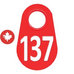 Étiquette d'identification pour le cou #137