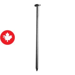 Clou à boîte, 2 1/2", 25 lb