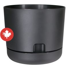 Self-Watering Oasis Planter - Black - 6"