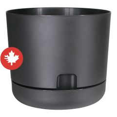 Self-Watering Oasis Planter - Black - 8"