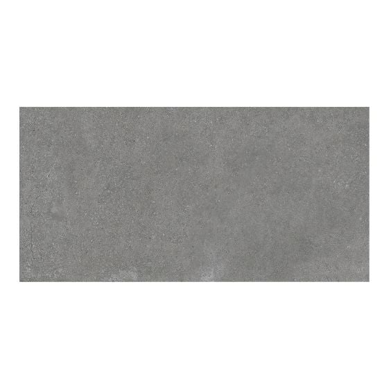 Tuile de porcelaine, plancher, Sonder, anthracite, mat, 12" x 24"
