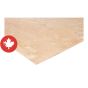 3/8" x 4' x 8' Degrade spruce plywood