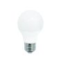 Ampoules DEL A15, blanc doux, 7 W, 2/pqt