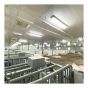 Panneau en PVC Trusscore Wall&CeilingBoard, blanc, 1/2" x 16" x 14'