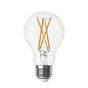 Ampoule DEL à filament Type A Clair/ 9 W / 120 V / 5 000 K Lumière du jour (2)