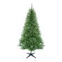 Sapin de Noël, canadien, standard, 7'