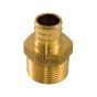 Adaptateur mâle, laiton, PEX, 1/2", 10/pqt