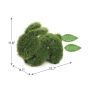 Topiaire de gazon, Lapin, vert, 12"