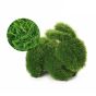 Topiaire de gazon, Lapin, vert, 12"
