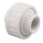 Buna Union Ring - 3/4" - White