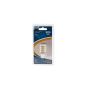 Ampoule DEL 1076