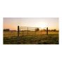Heavy-Duty Farm Gate - 14-Gauge - Green - 4'