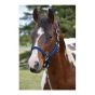 Classib Western Raw Leather Halter With Carabiner Hook - Blue - 1,100 to 1,500 lb