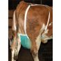 Filet de protection pour trayons