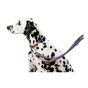 Collier pour chien, 1/2" x 18" - 26"