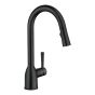 Adler Kitchen Sink Faucet - Matte Black