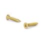 Solid Brass Wood Screws - Flat Head - #6 x 3/4" - 10/Pkg