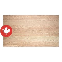Oak Decorative Panel - 11/16" x 8' x 4'