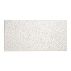 Ceiling Panel - Radar - 2' x 4' - 8/Pkg - Covers 64 sq. ft.