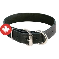 Collier simple, noir, 1" x 20"