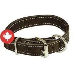 Collier simple, noir, 1" x 20"