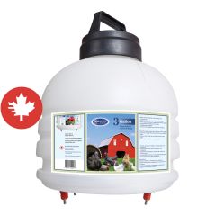 Abreuvoir pour volaille, quatre tétines