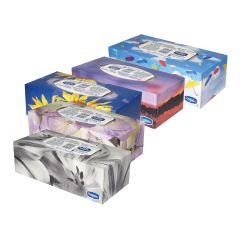 Royale facial tissue 100un