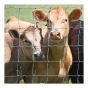 Monarch Livestock Field Fence - #939-6-14 1/2 - 300’ x 39"