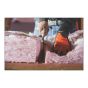 Laine insonorisante Rose Next Gen Fiberglas Quiétude, ossature de bois, 15" x 48" x 3 1/2", couvre 110 pi²