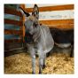 Coarse Straw Bedding for Animals, 3 cu. ft.