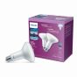 LED BR30 Bulbs - 65 W - Daylight- 2/Pkg